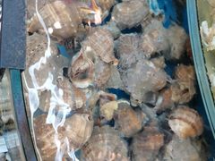 -渔中舟海鲜大排档(普陀沈家门店)
