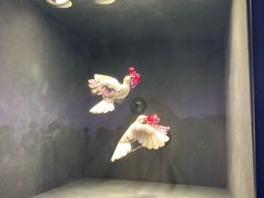 景点-上海当代艺术博物馆