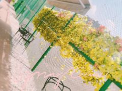 -游心咖啡(青山滨江店)