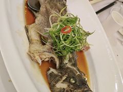 清蒸龙趸鱼-唐宫·粤菜海鲜(万象城店)