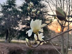 -白塘生态植物园