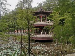 -福神岗公园