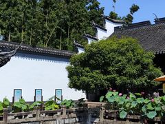-上海醉白池公园