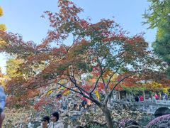 -近水阁糕点(皮市街店)