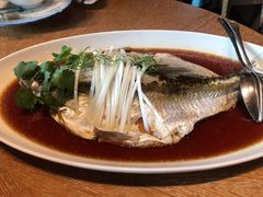 钱湖四宝-朋鱼-宁波柏悦酒店·钱湖渔港