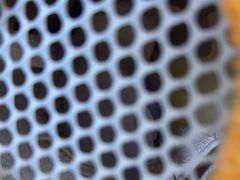 -爱侣宠医·鹦鹉专科·小型哺乳类·异宠专科(灵石路店)