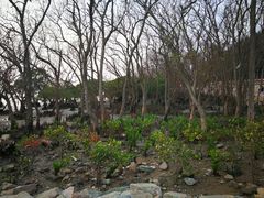 -宝安西湾红树林湿地公园