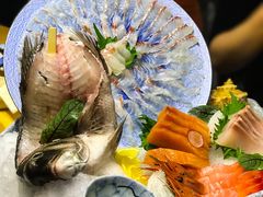 活鲷鱼刺身-富山日式料理(宽厚里店)