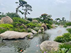 -罗红摄影艺术馆