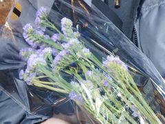 -春暖花开(西溪店)