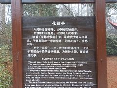 -庐山风景区花径公园