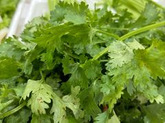 香菜-八仙水煎牛肉(邮电小区店)