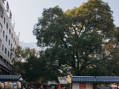 -五泉山公园