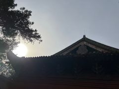 -洛阳白马寺