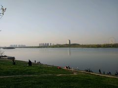 -灞河西岸滨河公园