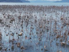 -东钱湖旅游度假区