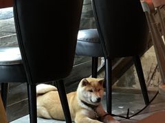 -鹿萤季·营地小馆(皇后公园店)