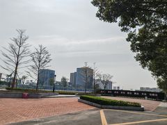 -番禺广场(市桥街道)