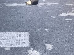 -赵小姐的店(鼓浪屿三友店)