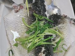 -洞密园美食城·二十二年老店(富华路店)