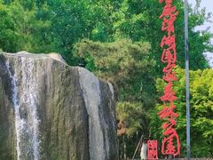 -合肥滨湖国家森林公园