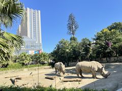 -成都动物园