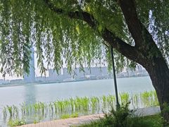 -蠡湖大桥公园