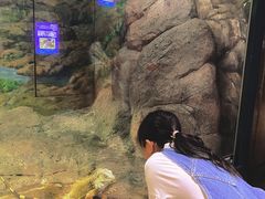 -福州罗源湾海洋世界旅游区