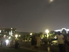 -宝安西湾红树林湿地公园