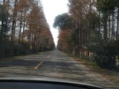 -上海都市菜园