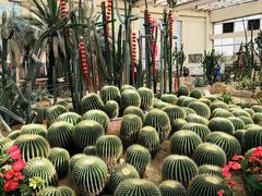 -石家庄市植物园