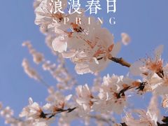 -北海公园