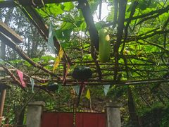 -南窖乡水峪村山情农家