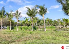 -亚龙湾国际玫瑰谷