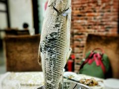 -百丈园龙江啫神馆