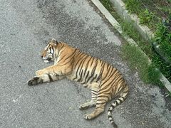 -大连森林动物园