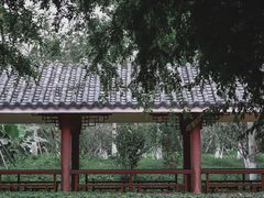 -海珠湖公园