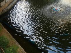 -棕南海水疗会所