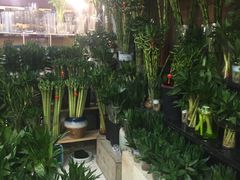 -双季花艺园艺市场(浦东店)