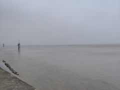 -观潮胜地公园