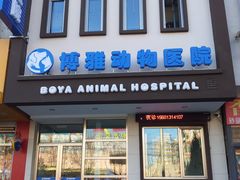 门面-纳吉亚猫专科动物医院博雅分院