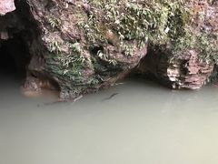 -怀托摩萤火虫洞