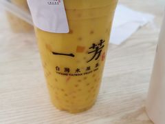 -一芳水果茶(永城金博大店)