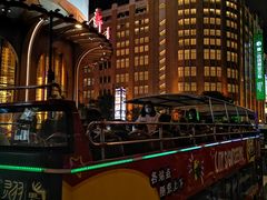 -BUS TOUR观光巴士