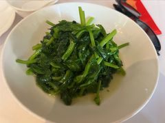 酒香豆苗-玫瑰厅上海菜(兴国路店)