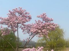 -钟山体育运动公园
