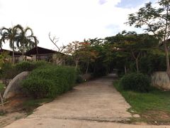 -椰树岛海滩度假村