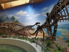 -延庆地质公园博物馆