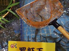 -79号渔船海鲜饭店(宝安店)
