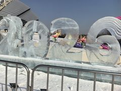 -沈阳奥体冰雪嘉年华
